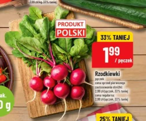 Rzodkiewki polskie