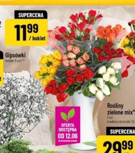 Róże bukiet 9-pak