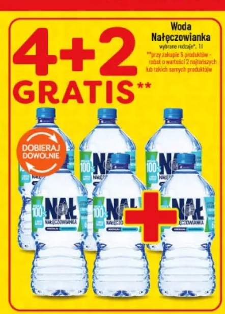Woda Nałęczowianka