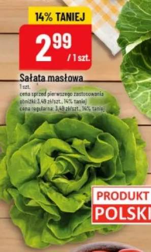 Sałata masłowa