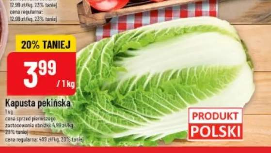 Kapusta pekińska