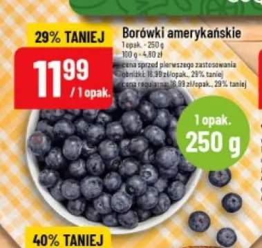 Borówki amerykańskie