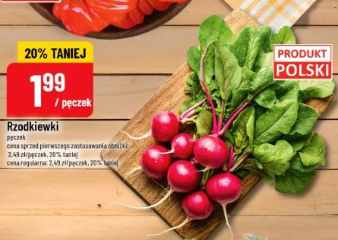 Rzodkiewki polskie