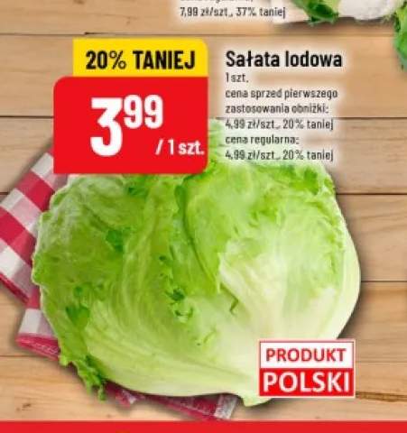Sałata lodowa polska