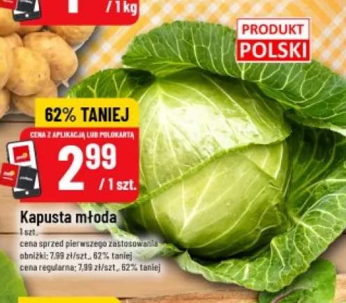 Kapusta młoda