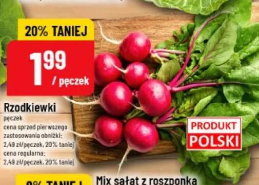 Rzodkiewki