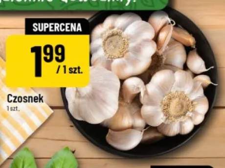 Czosnek