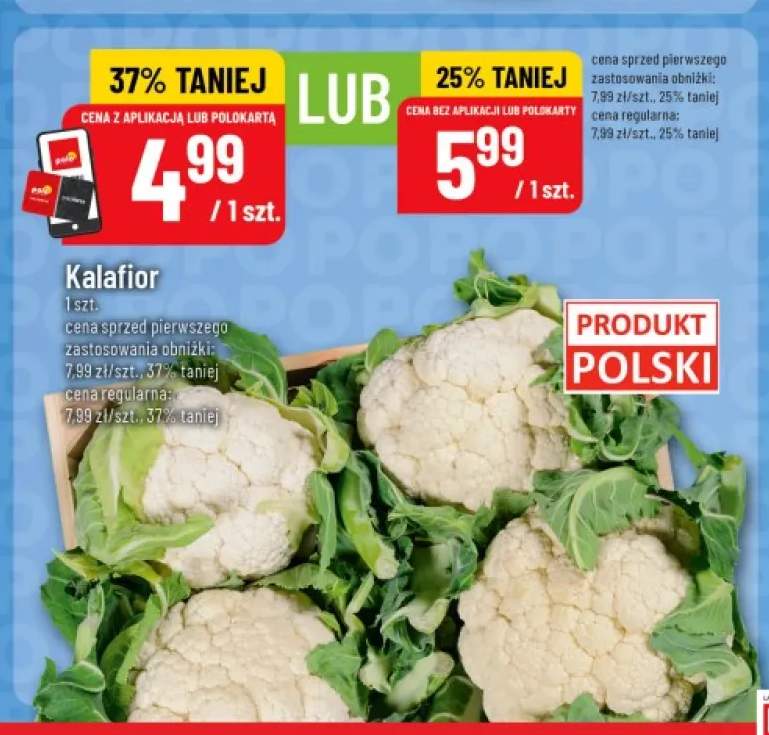 Kalafior polski