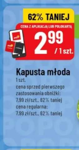 Kapusta młoda