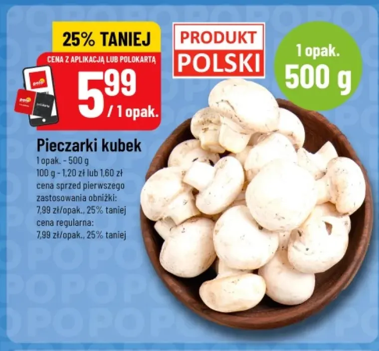 Pieczarki kubek polskie