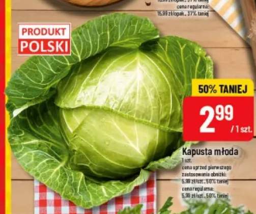 Kapusta młoda polska