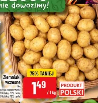 Ziemniaki wczesne