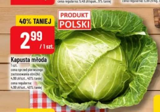 Kapusta młoda