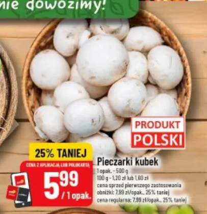 Pieczarki kubek