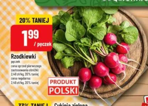Rzodkiewki