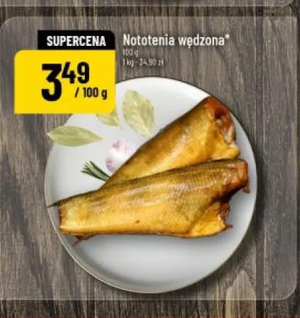 Nototenia wędzona