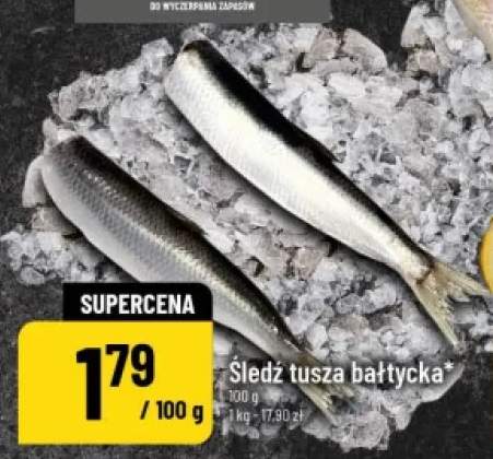 Śledź tusza bałtycka