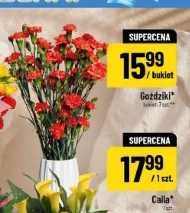 Goździki