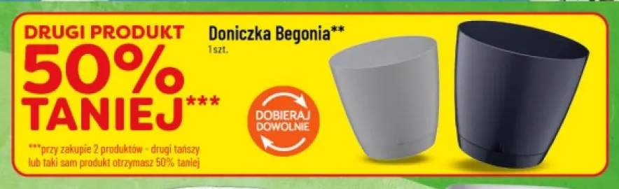 Doniczka Begonia