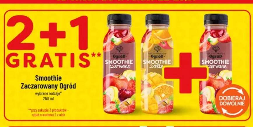 Smoothie czerwone Zaczarowany Ogród +1 wariant