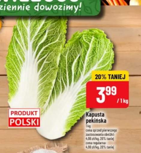 Kapusta pekińska polska