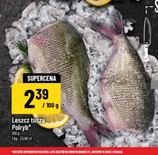 Leszcz tusza Polryb