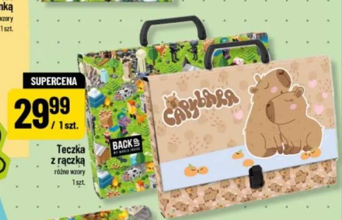 Teczka z rączką BackS
