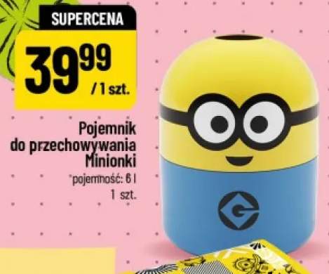 Pojemnik do przechowywania Minionki 6 l