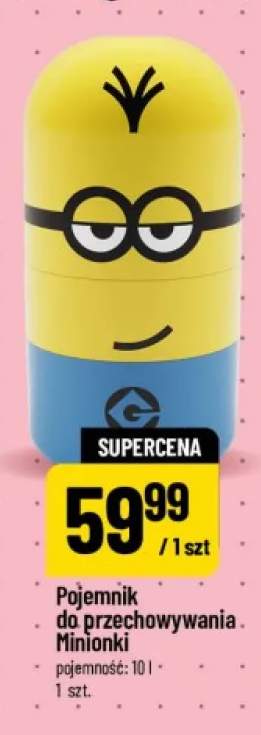 Pojemnik do przechowywania Minionki 10 l