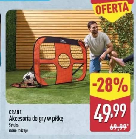 gra zręcznościowa