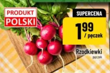 Rzodkiewka pęczek polska