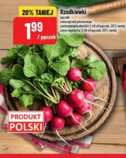 Rzodkiewki polskie