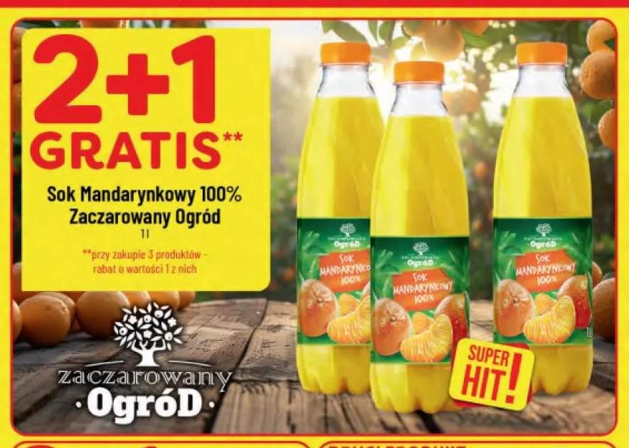 Sok mandarynkowy Zaczarowany Ogród 100%