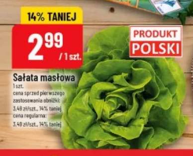 Sałata masłowa