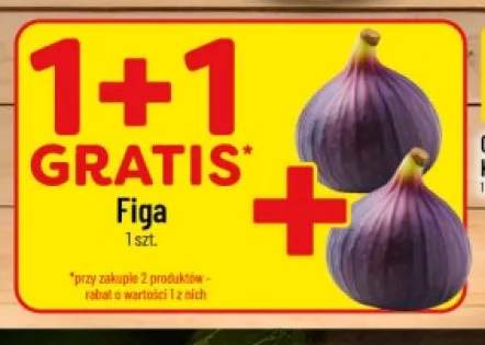 Figa