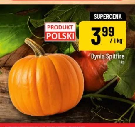 Dynia Spitfire