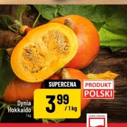 Dynia Hokaido