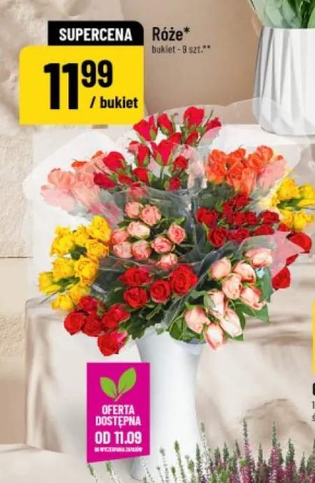 Róże bukiet 9 szt.