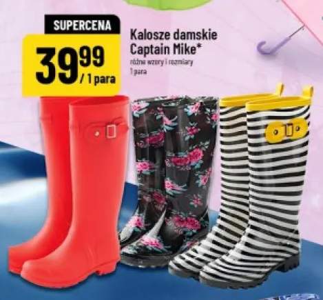 Kalosze damskie Captain Mike