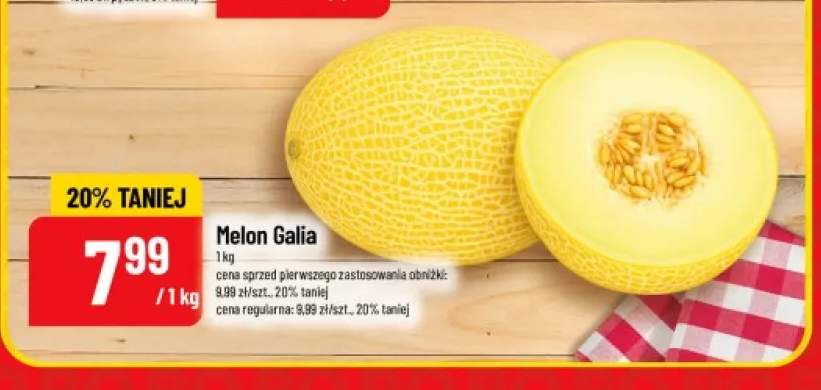 Melon Galia