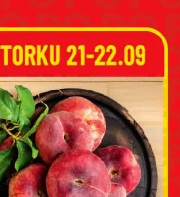 Karmnik dla ptaków