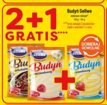 Budyń czekoladowy Gellwe +2 warianty