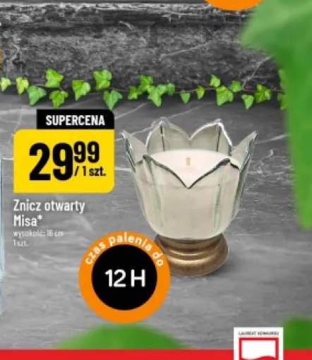 Znicz otwarty Misa