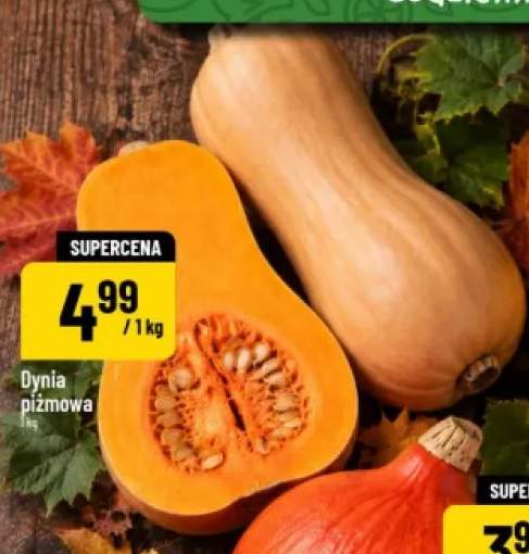 Dynia piżmowa