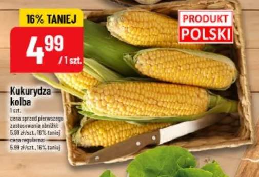 Kukurydza kolba