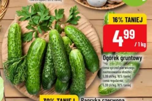 Ogórki gruntowe