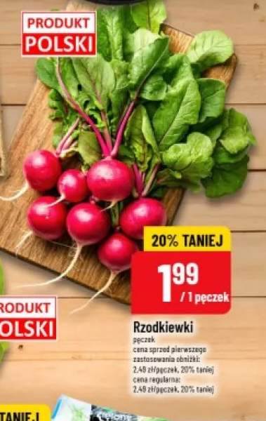 Rzodkiewki