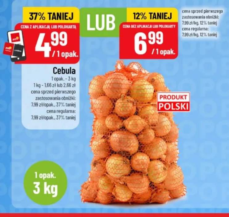 Cebula polska