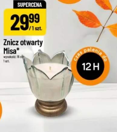 Znicz otwarty Misa