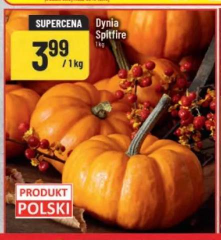 Dynia Spitfire